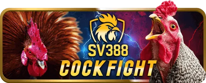 Chia sẻ mã với bạn bè